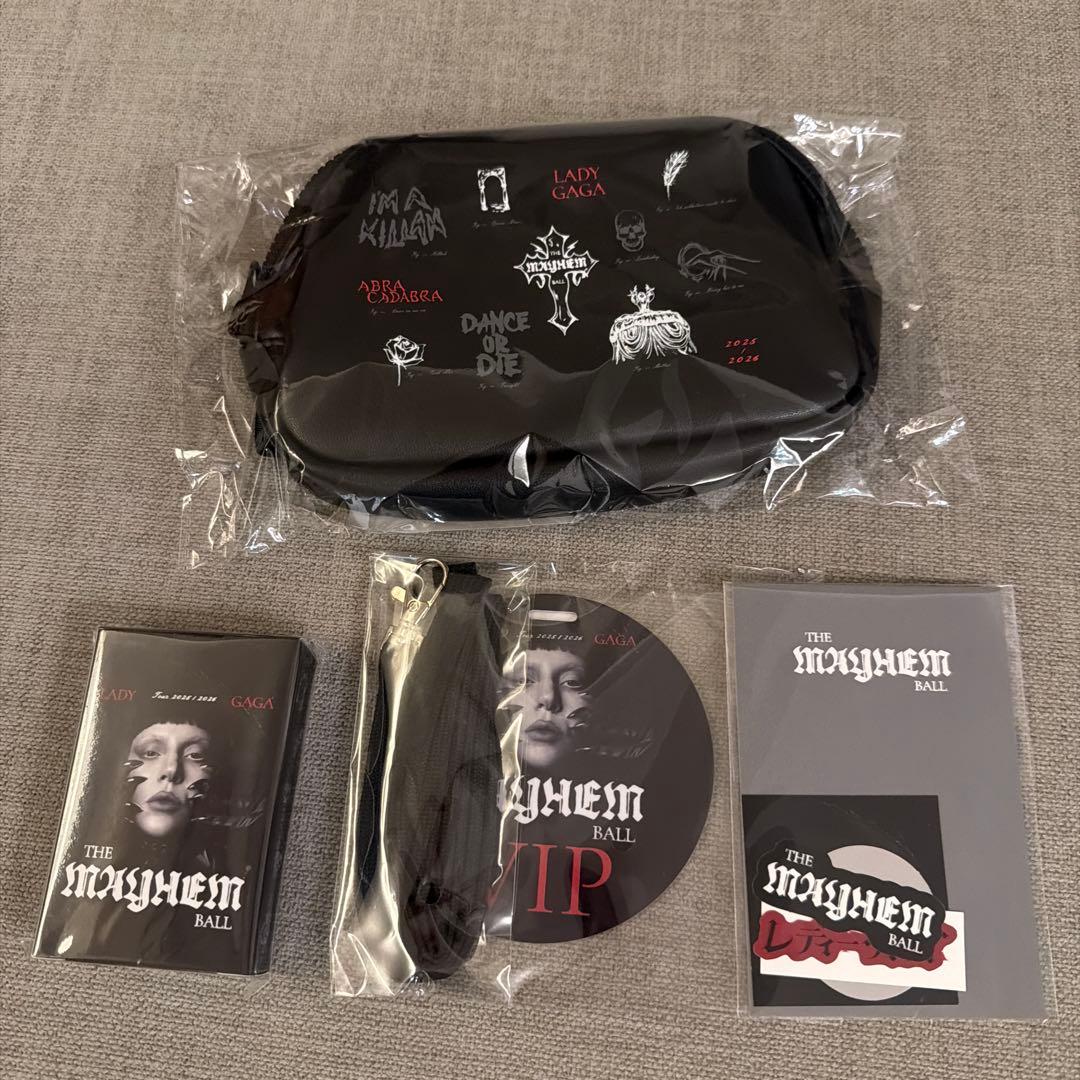 レディガガ Lady Gaga 2026ライブ VIP SILVER特典グッズ - メルカリ