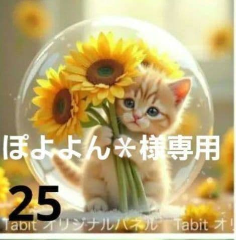 ぽよよん様御確認用♪