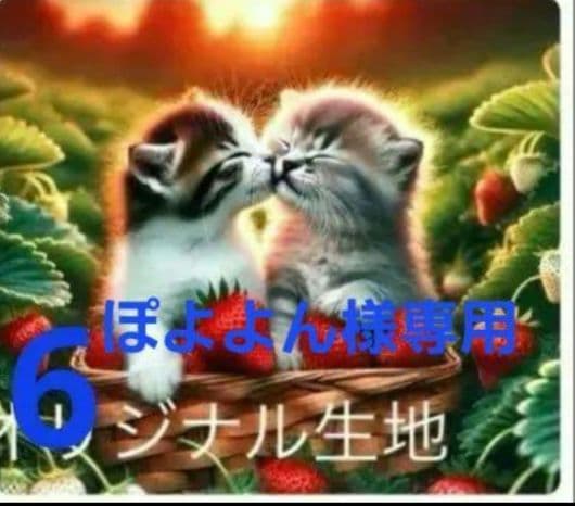 ぽよよん様御確認用♪