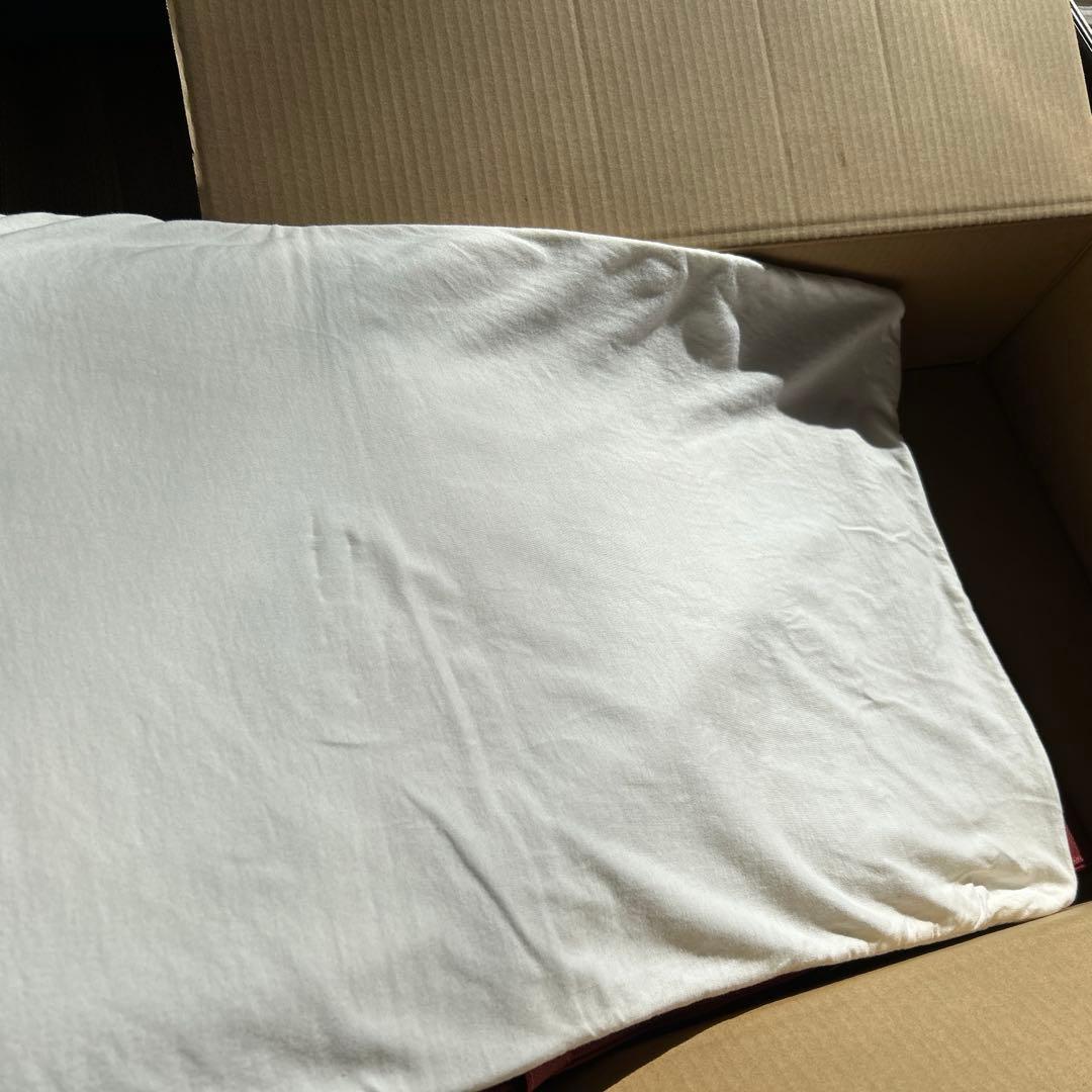 【美品】ブレインスリープピロー　ロー　low