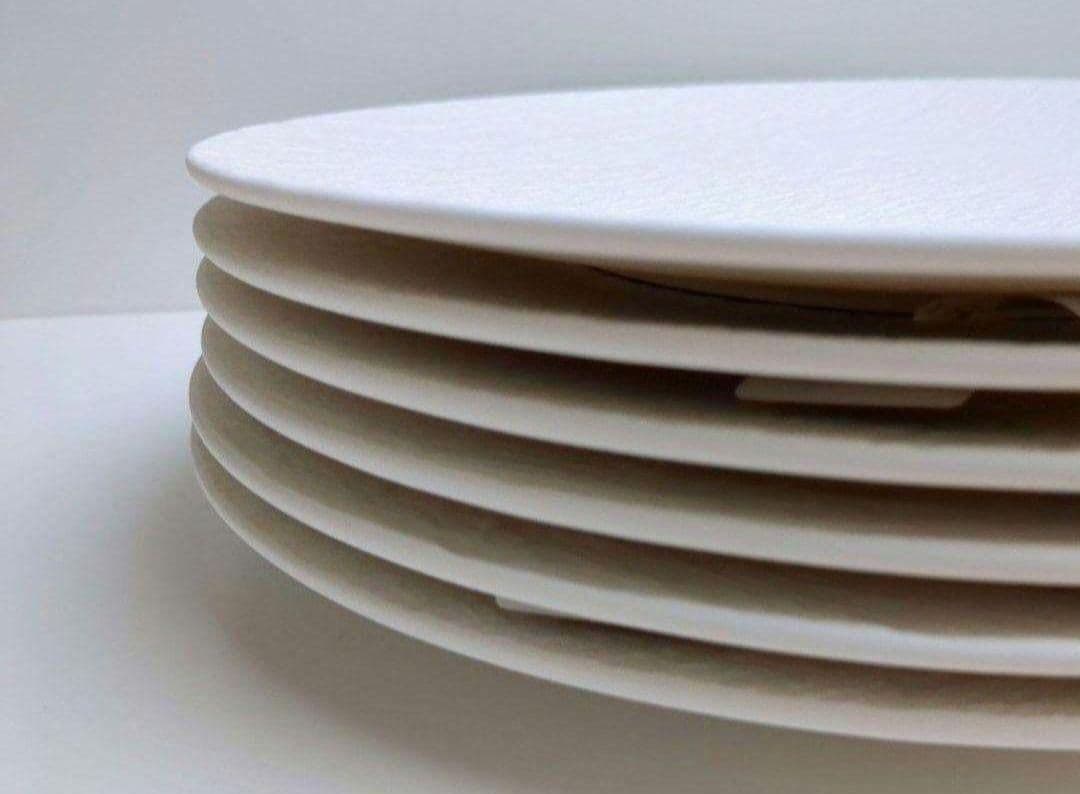 ビレロイ&ボッホ　ロック　白　大皿　５枚