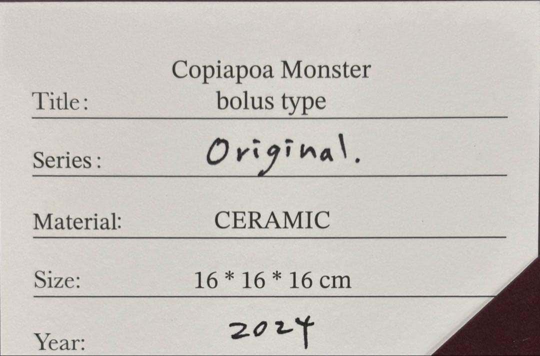 羅本製所 Copiapoa 黑王丸-丸型 Robinceramicstudio