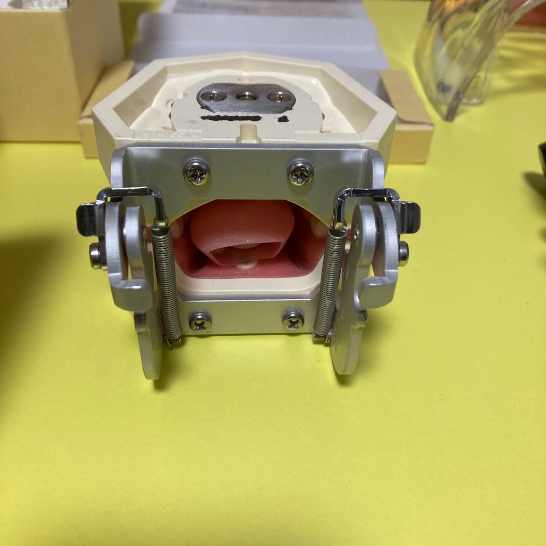 歯科　顎模型　nissin シンプルマネキン　歯科医師　歯科衛生士