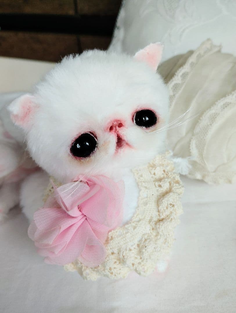 まるまるオメメ♡エキゾチック子猫ちゃん♡アートドール♡ぬいぐるみ♡