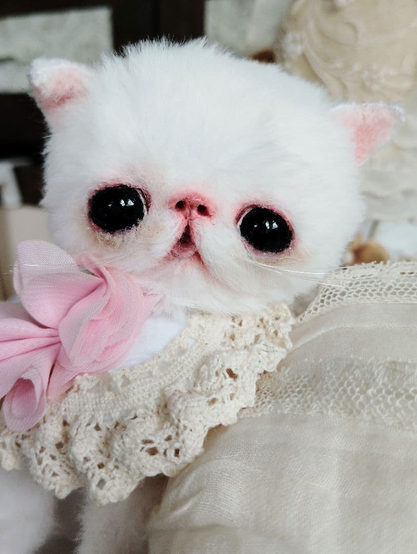 まるまるオメメ♡エキゾチック子猫ちゃん♡アートドール♡ぬいぐるみ♡