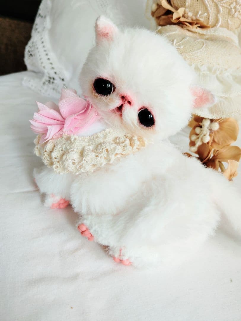 まるまるオメメ♡エキゾチック子猫ちゃん♡アートドール♡ぬいぐるみ♡