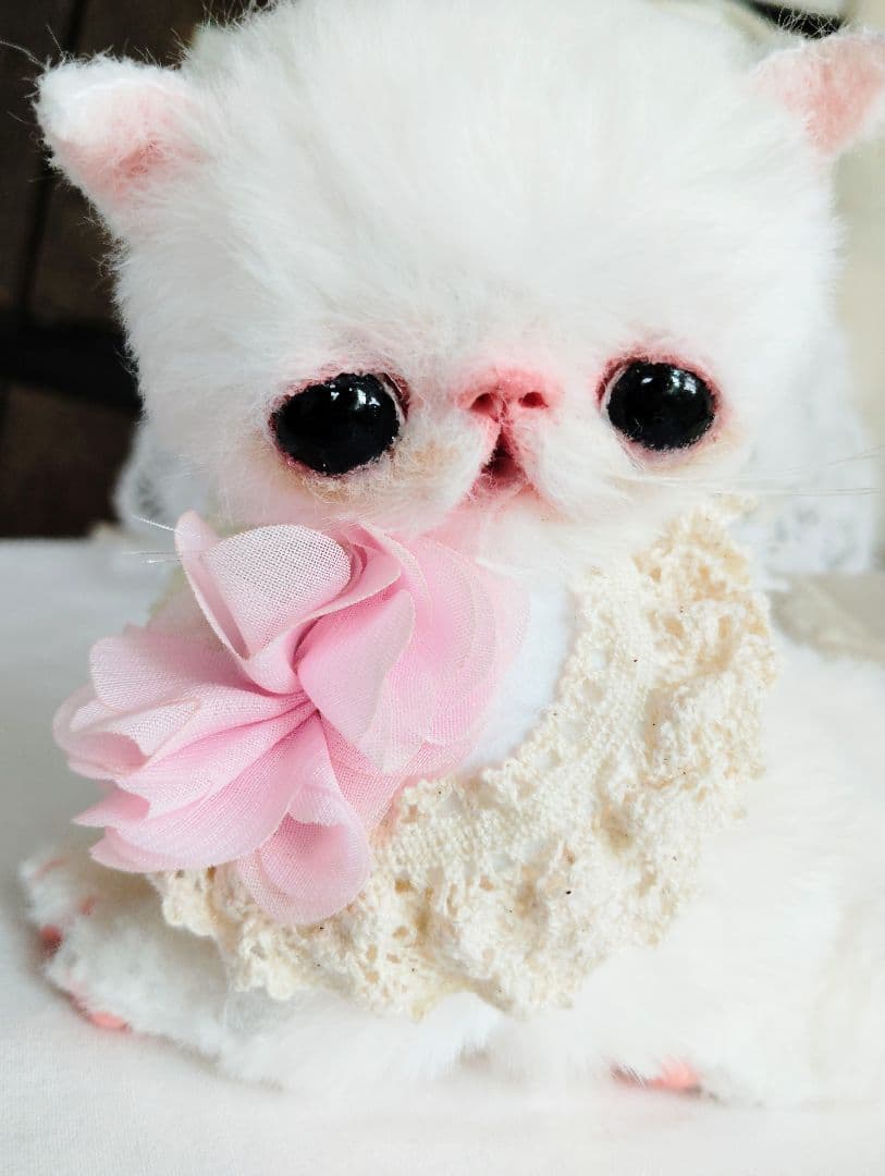 まるまるオメメ♡エキゾチック子猫ちゃん♡アートドール♡ぬいぐるみ♡