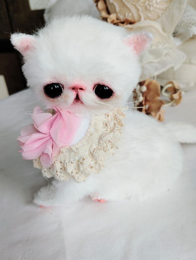 まるまるオメメ♡エキゾチック子猫ちゃん♡アートドール♡ぬいぐるみ♡