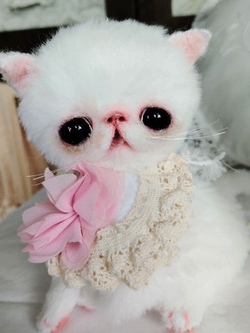 まるまるオメメ♡エキゾチック子猫ちゃん♡アートドール♡ぬいぐるみ♡