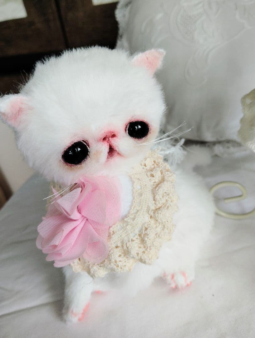 まるまるオメメ♡エキゾチック子猫ちゃん♡アートドール♡ぬいぐるみ♡