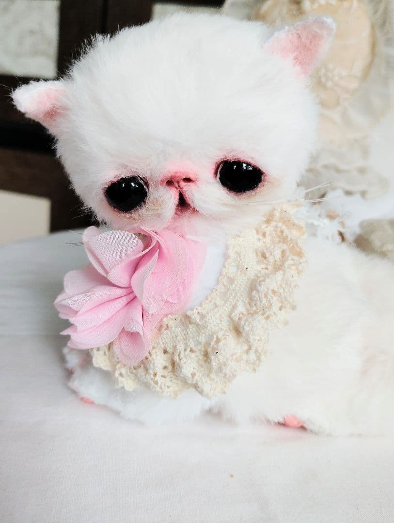 まるまるオメメ♡エキゾチック子猫ちゃん♡アートドール♡ぬいぐるみ♡