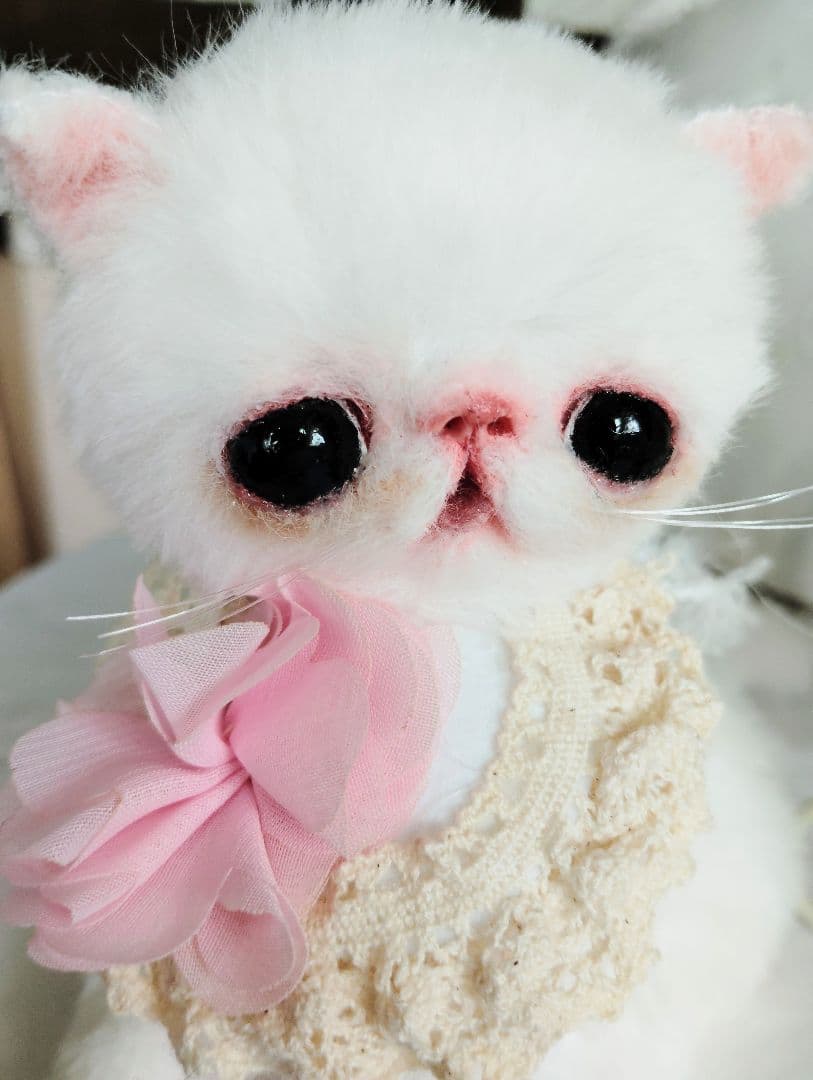 まるまるオメメ♡エキゾチック子猫ちゃん♡アートドール♡ぬいぐるみ♡