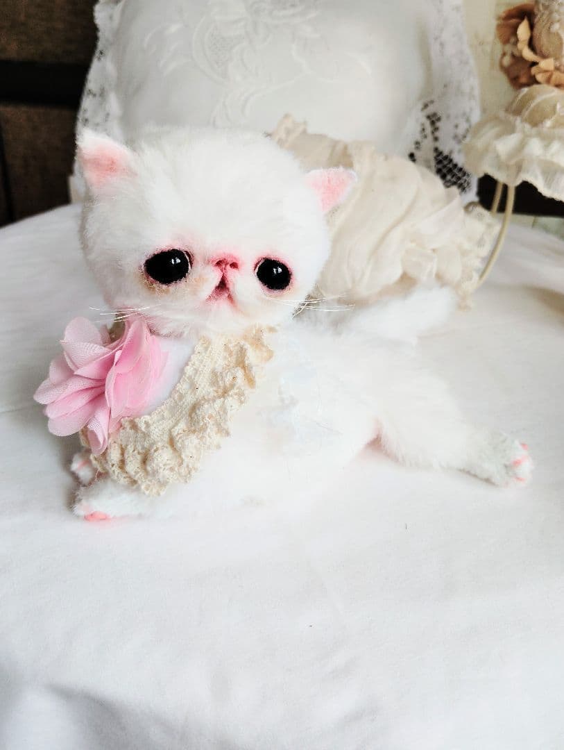 まるまるオメメ♡エキゾチック子猫ちゃん♡アートドール♡ぬいぐるみ♡