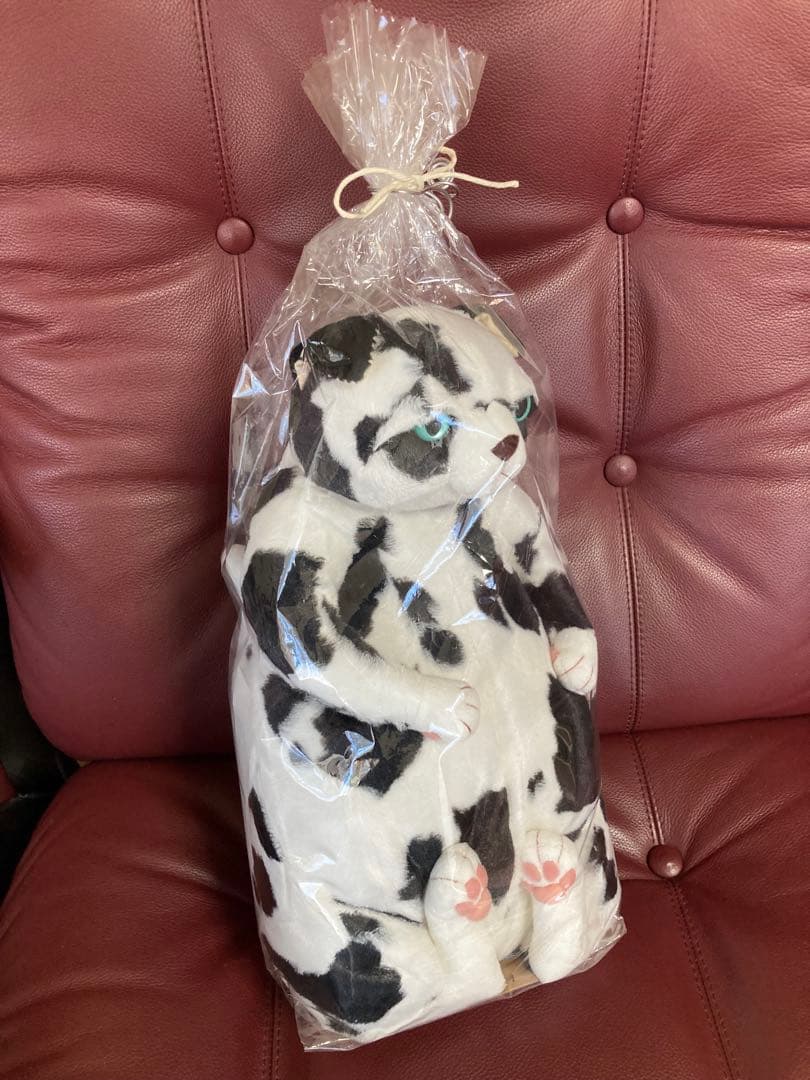 cuddlyカドリー 猫 ぬいぐるみ【バジル】