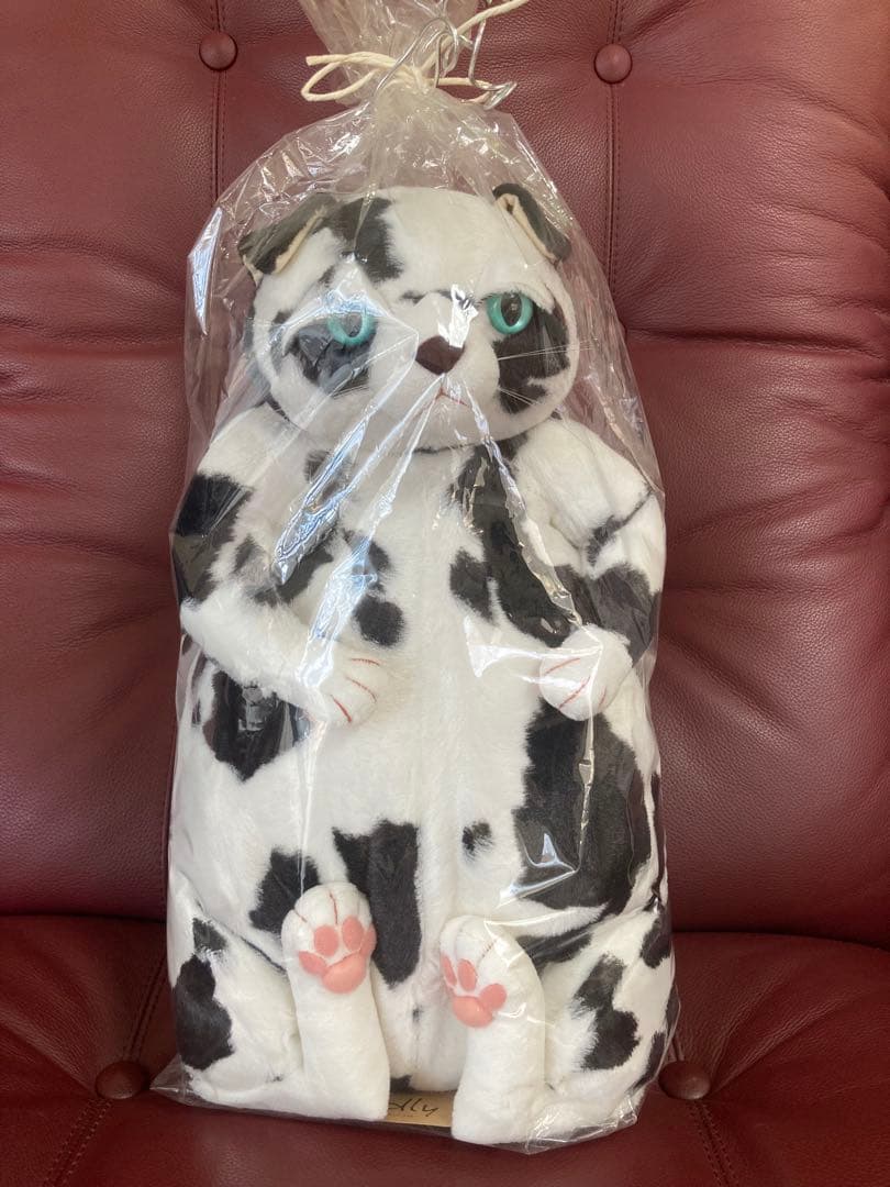 cuddlyカドリー 猫 ぬいぐるみ【バジル】