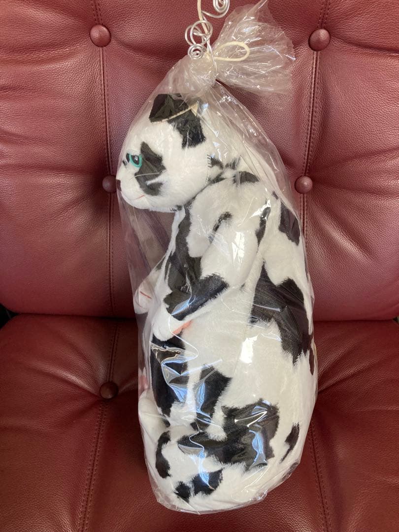 cuddlyカドリー 猫 ぬいぐるみ【バジル】