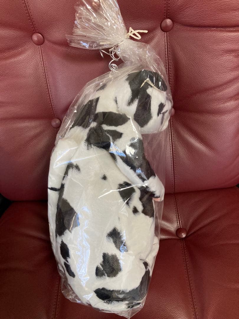 cuddlyカドリー 猫 ぬいぐるみ【バジル】