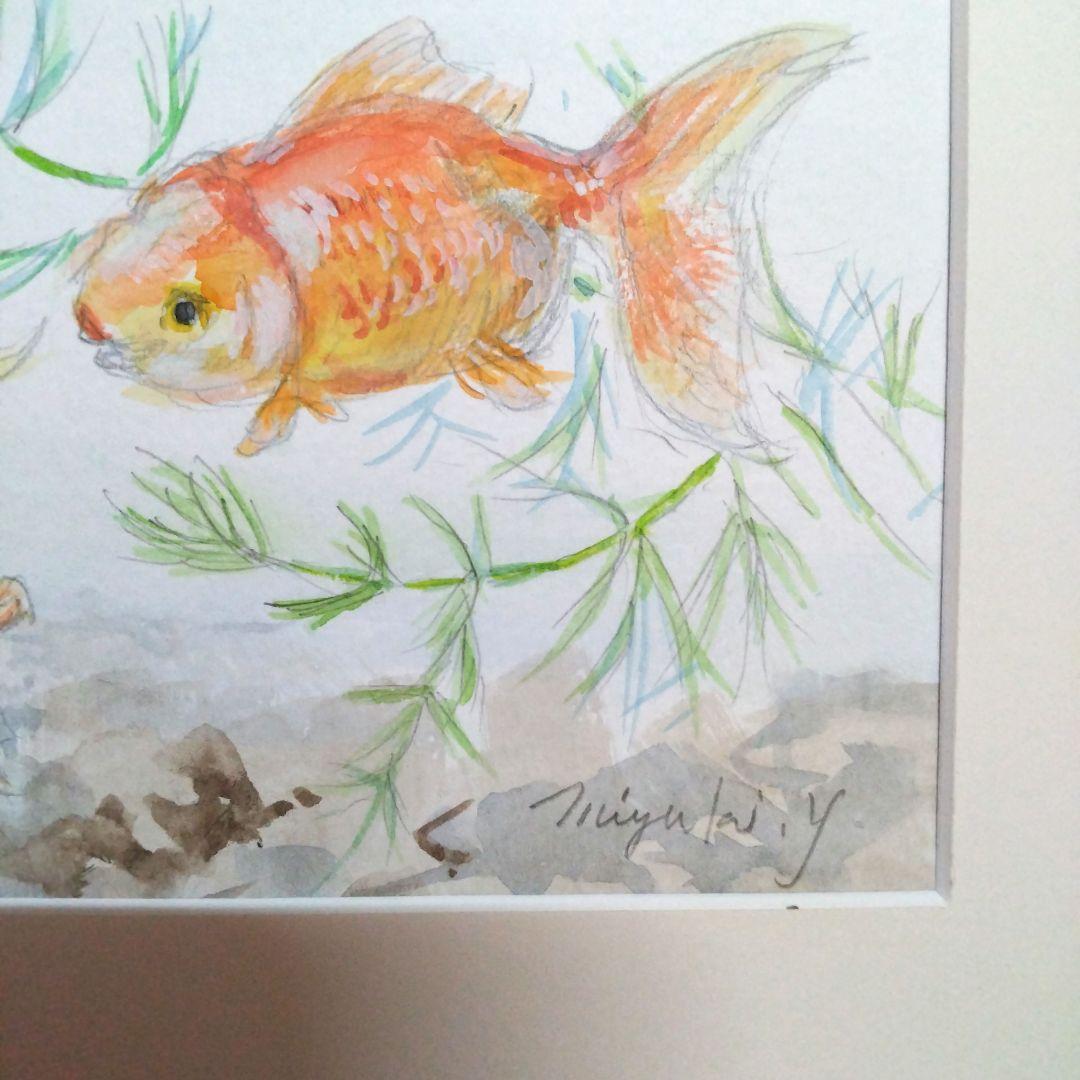 金魚 実物写生 保田三友紀のミニ水彩画 新品額縁付き15日販売終了