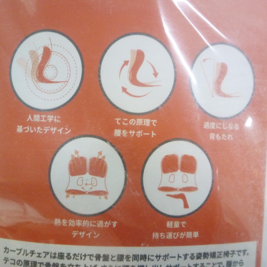 カーブルチェア グランド グレー 専用カバー付