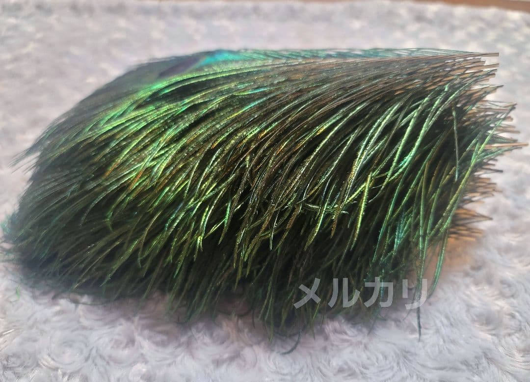 孔雀の羽根 ピーコックアイ 約24〜27cm 100本 鳥の羽根
