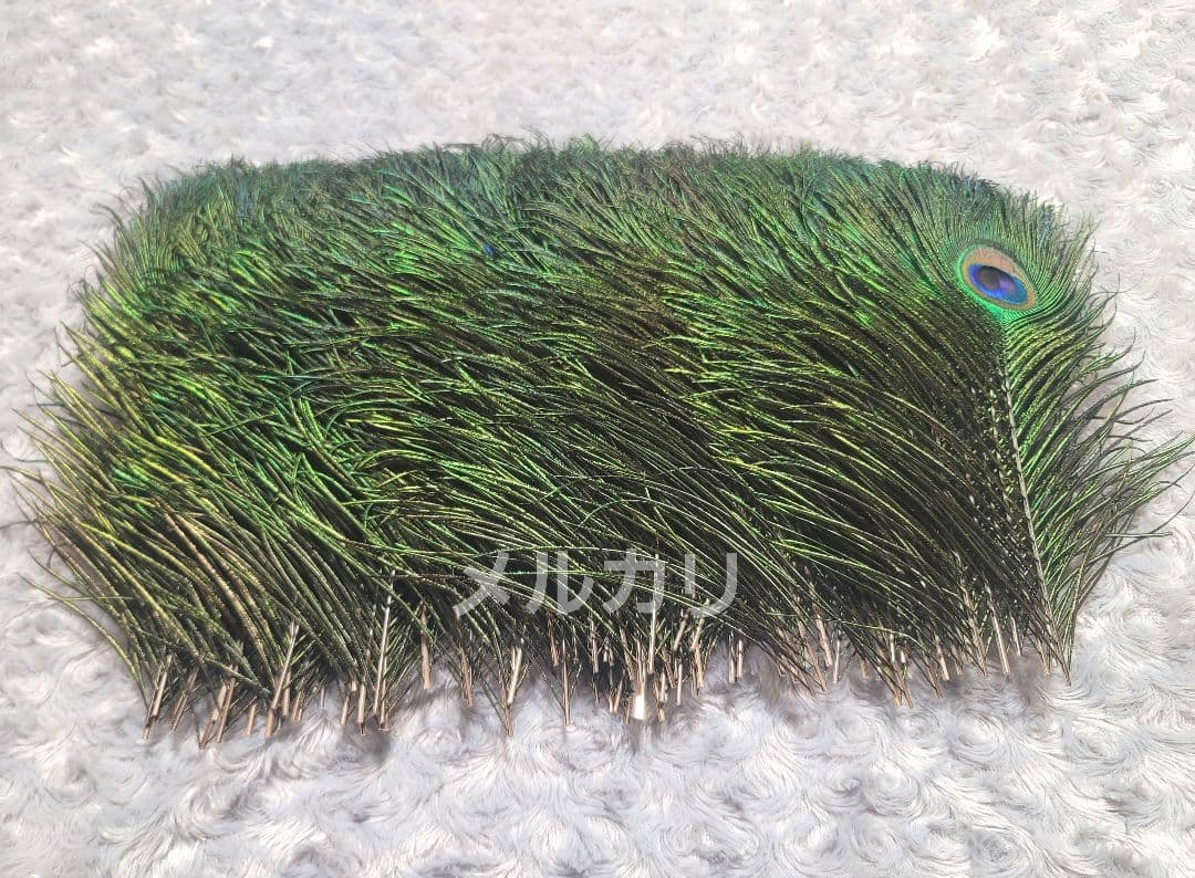 孔雀の羽根 ピーコックアイ 約24〜27cm 100本 鳥の羽根