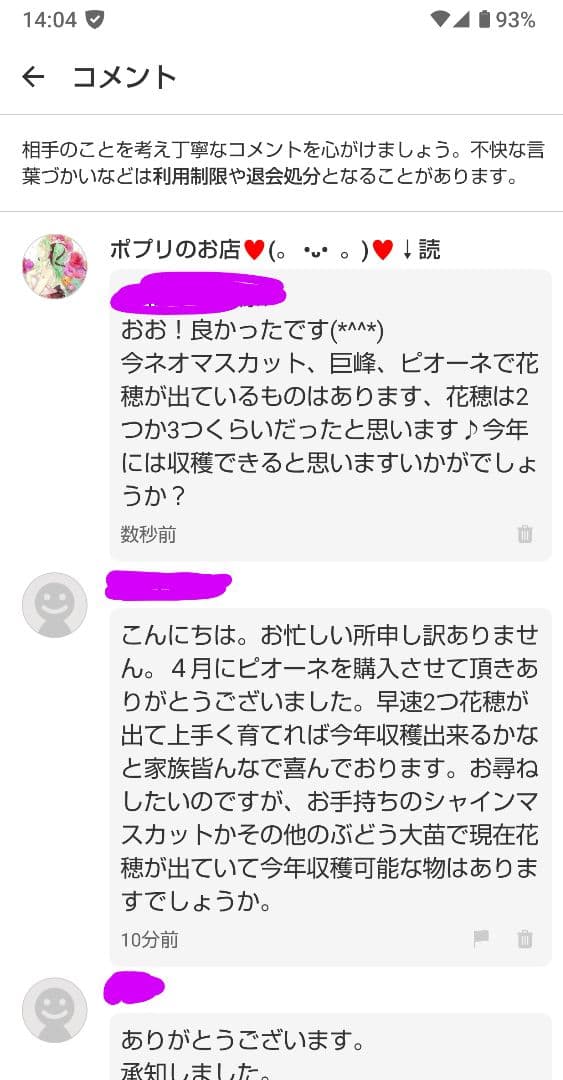 春用 来季 シャインマスカット 苗 3年育成物 丈夫な苗‼️評価見てください