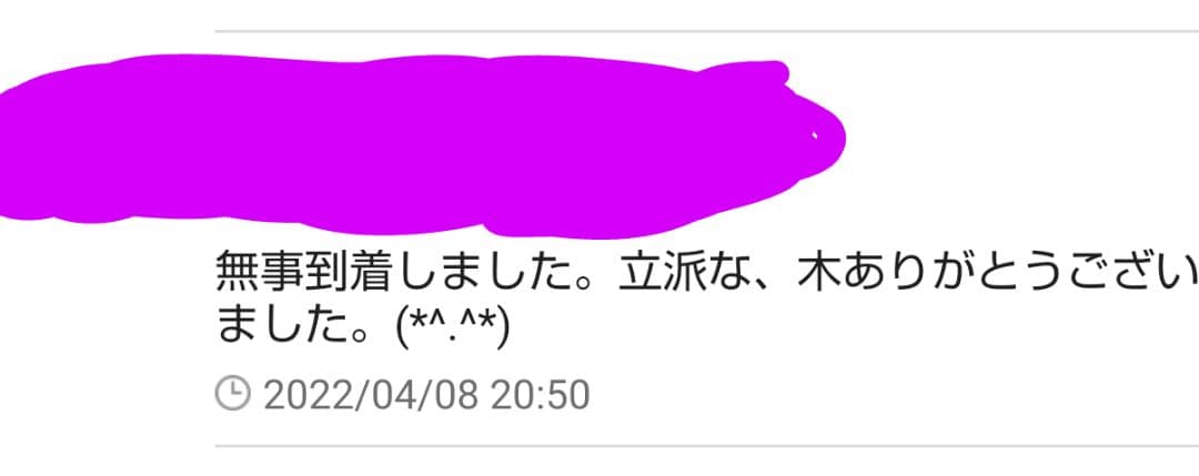 春用 来季 シャインマスカット 苗 3年育成物 丈夫な苗‼️評価見てください