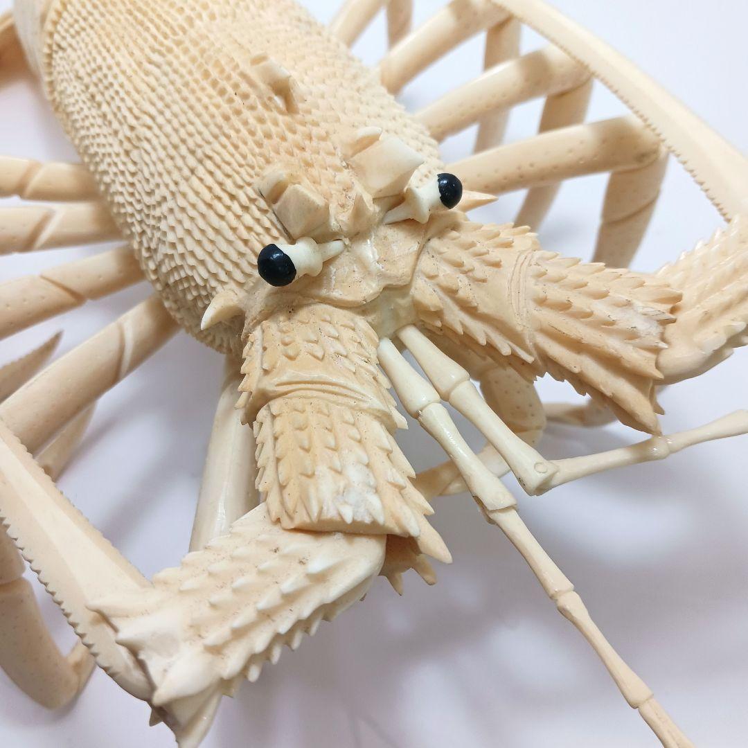 Y1671 細密彫刻 伊勢海老 自在 置物 総重量812.4g