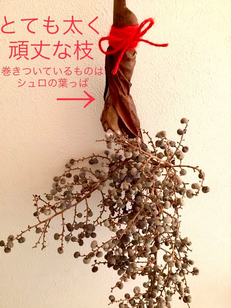 完売　　縁起木＊希少＊高級花材【棕櫚の実＊シュロの実】クリスマス花材/クリスマス