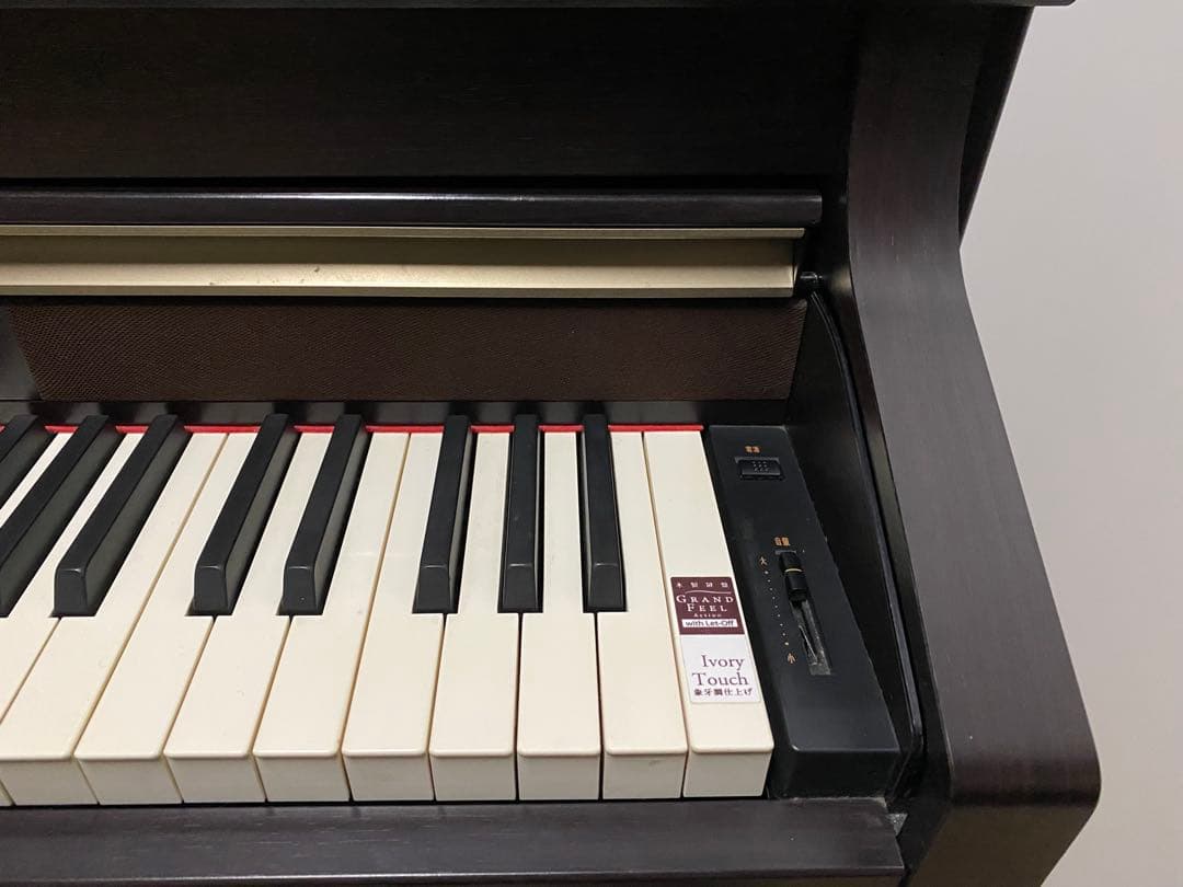 KAWAI 本格的！迫力の音色 木製鍵盤！CA9500GP / CA9500