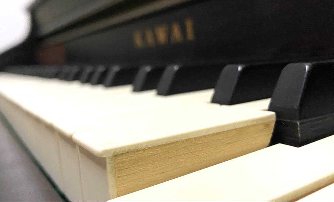 KAWAI 本格的！迫力の音色 木製鍵盤！CA9500GP / CA9500