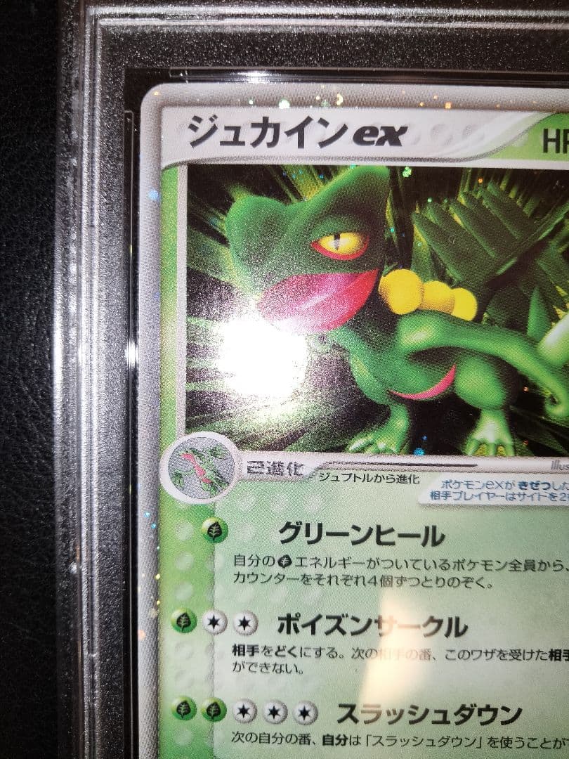 ジュカインex　psa9　鑑定