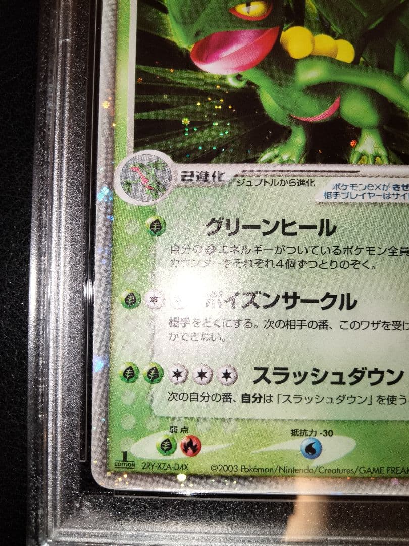 ジュカインex　psa9　鑑定