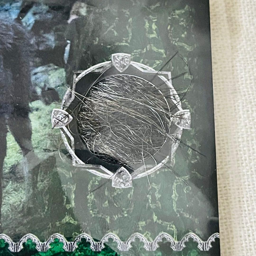 ハリーポッターとアズカバンの囚人　クリーチャーカード　シリウス・ブラック