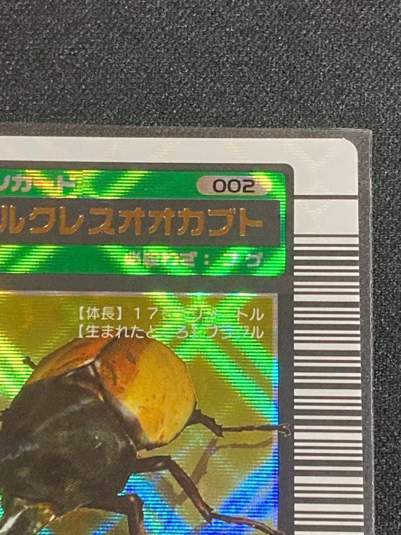 またこ様専用 ヘルクレスオオカブト2003 SPRING春 学名黒バーコード