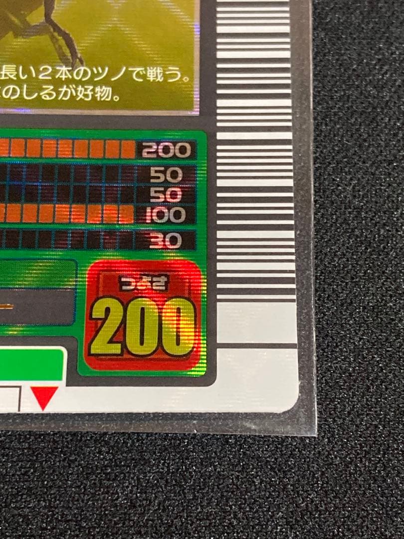 またこ様専用 ヘルクレスオオカブト2003 SPRING春 学名黒バーコード