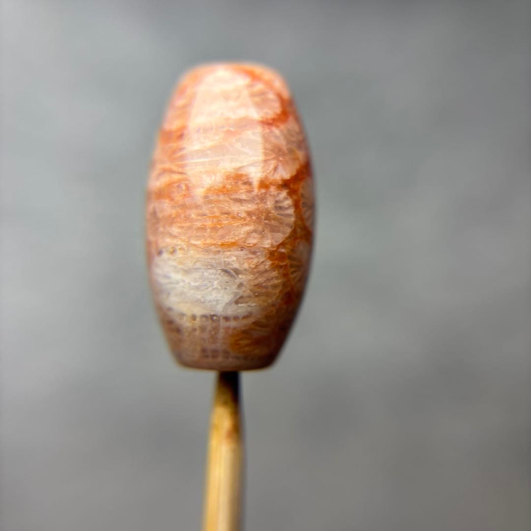 もんちゃんフォッシルコーラル　天珠　1-283