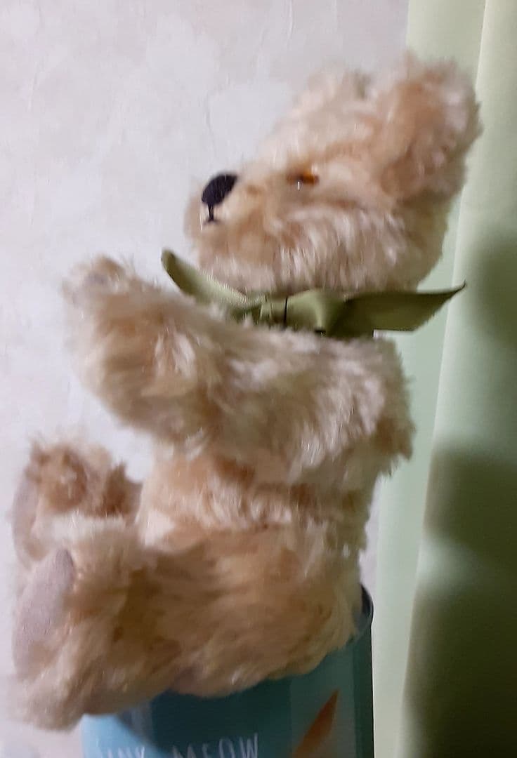 #テディベア#海外現地購入#ぬいぐるみ#レトロ