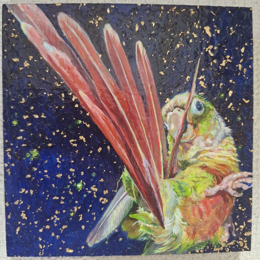 真緒様専用ページ】 「インコ☆オールスターズ」「ウロコインコさん」