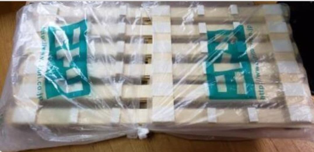 シングルスノコ 2つ！