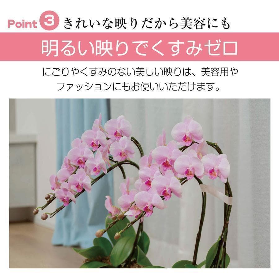 人気＊フィルムミラー 割れない鏡 全身鏡 幅100×高さ160cmキャスター付白