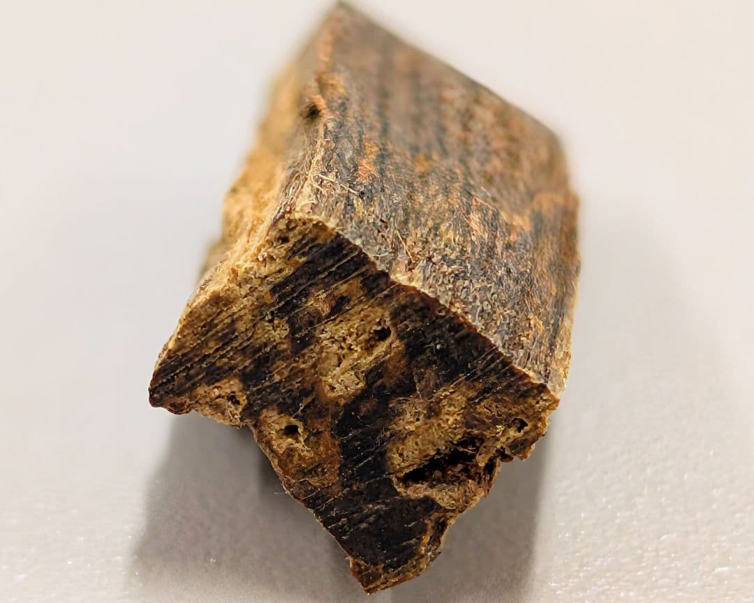 〈寸聞多羅〉　聞香　香木　沈香　香道　奇南　伽南　沉香