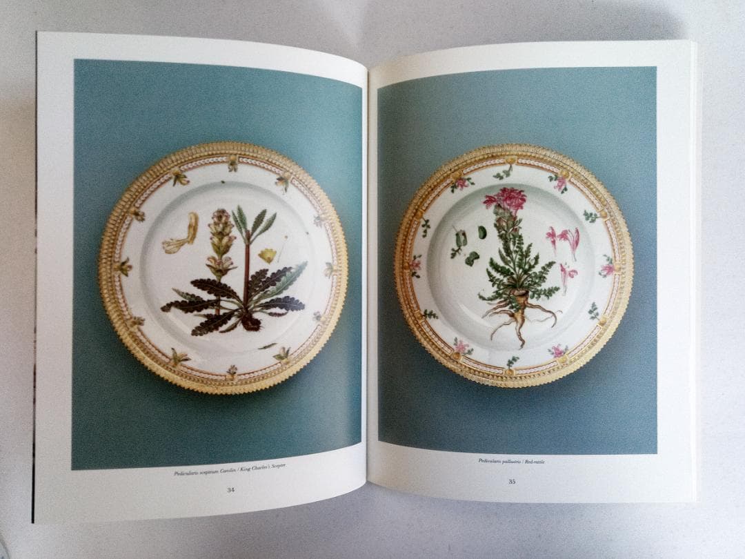 FLORA DANICA デンマークのボタニカル細密画の世界 1990年代 FLORA