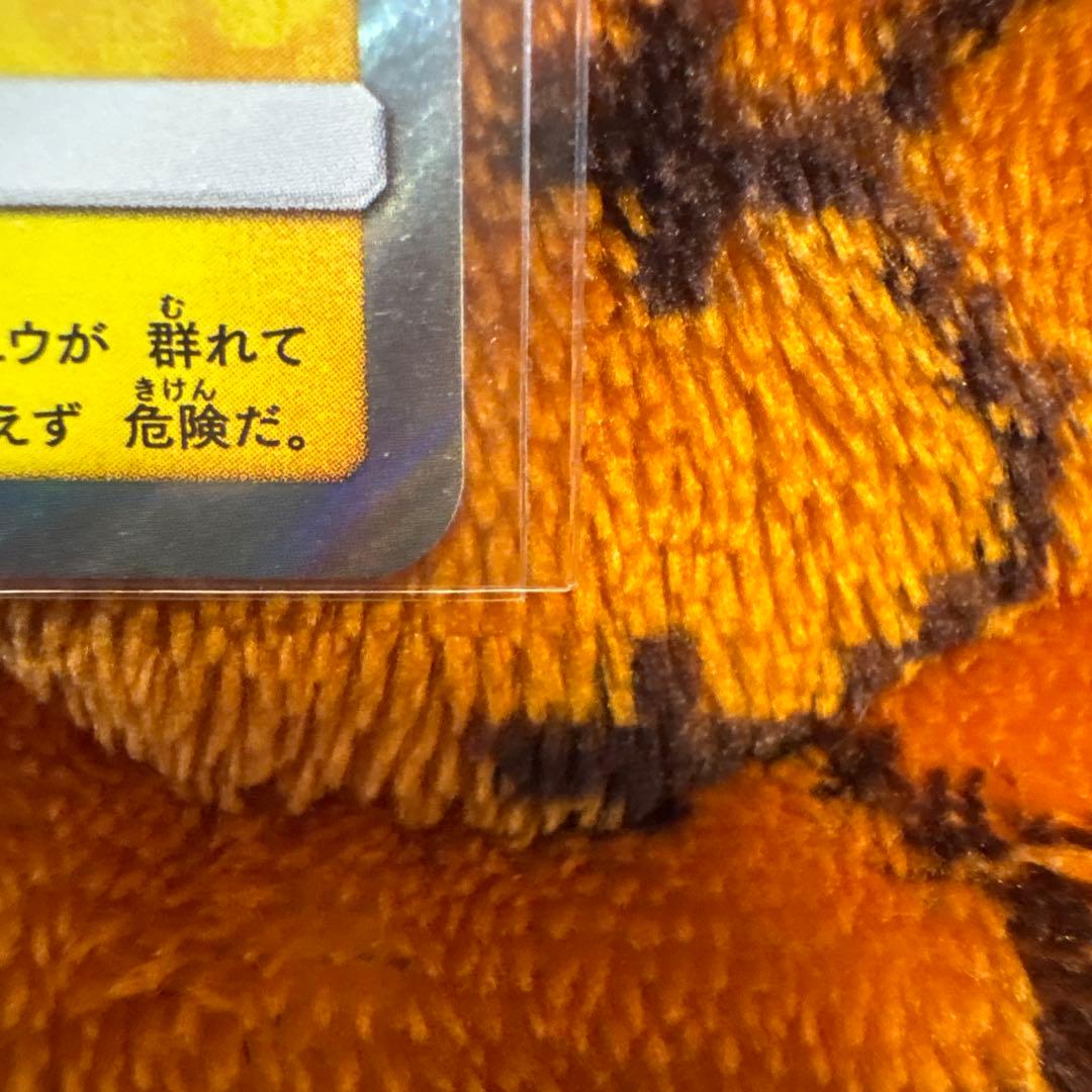 漫才ごっこピカチュウ：ポケモンセンターオーサカDX オープン記念 おい