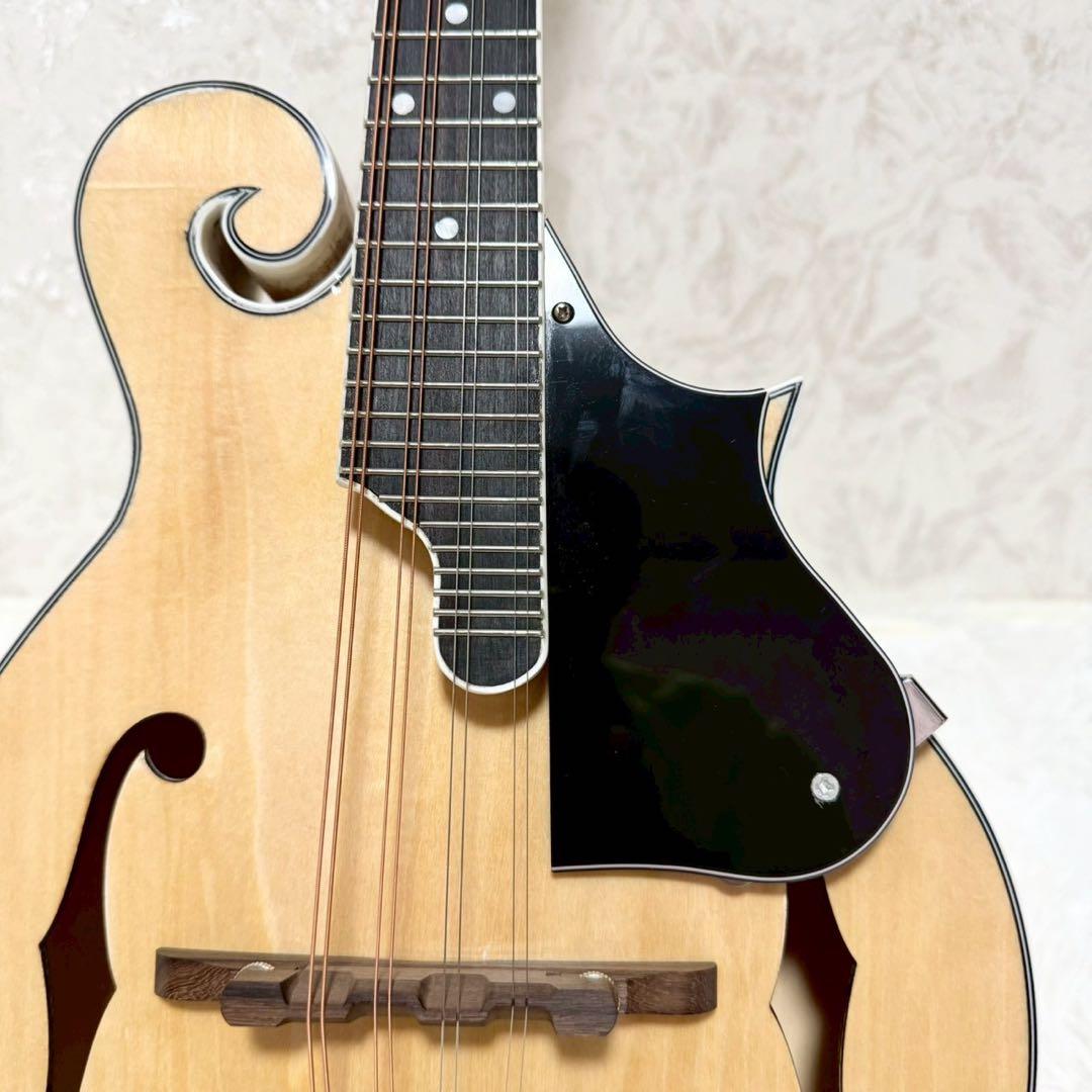 希少美品』Mylowe フラットマンドリン ハードケース付き - メルカリ