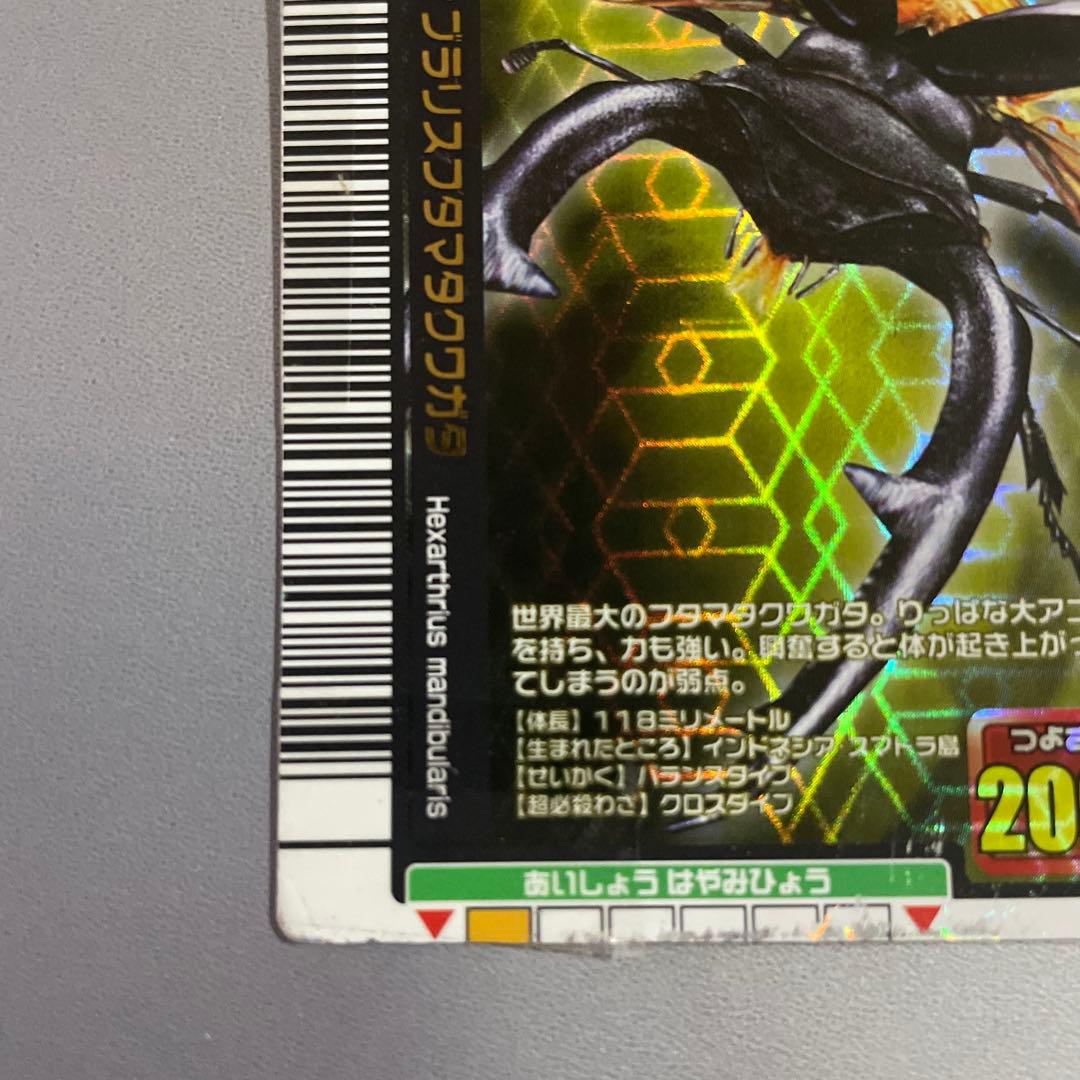 ムシキング マンディブラリスフタマタクワガタ 2005 夏限定デザイン