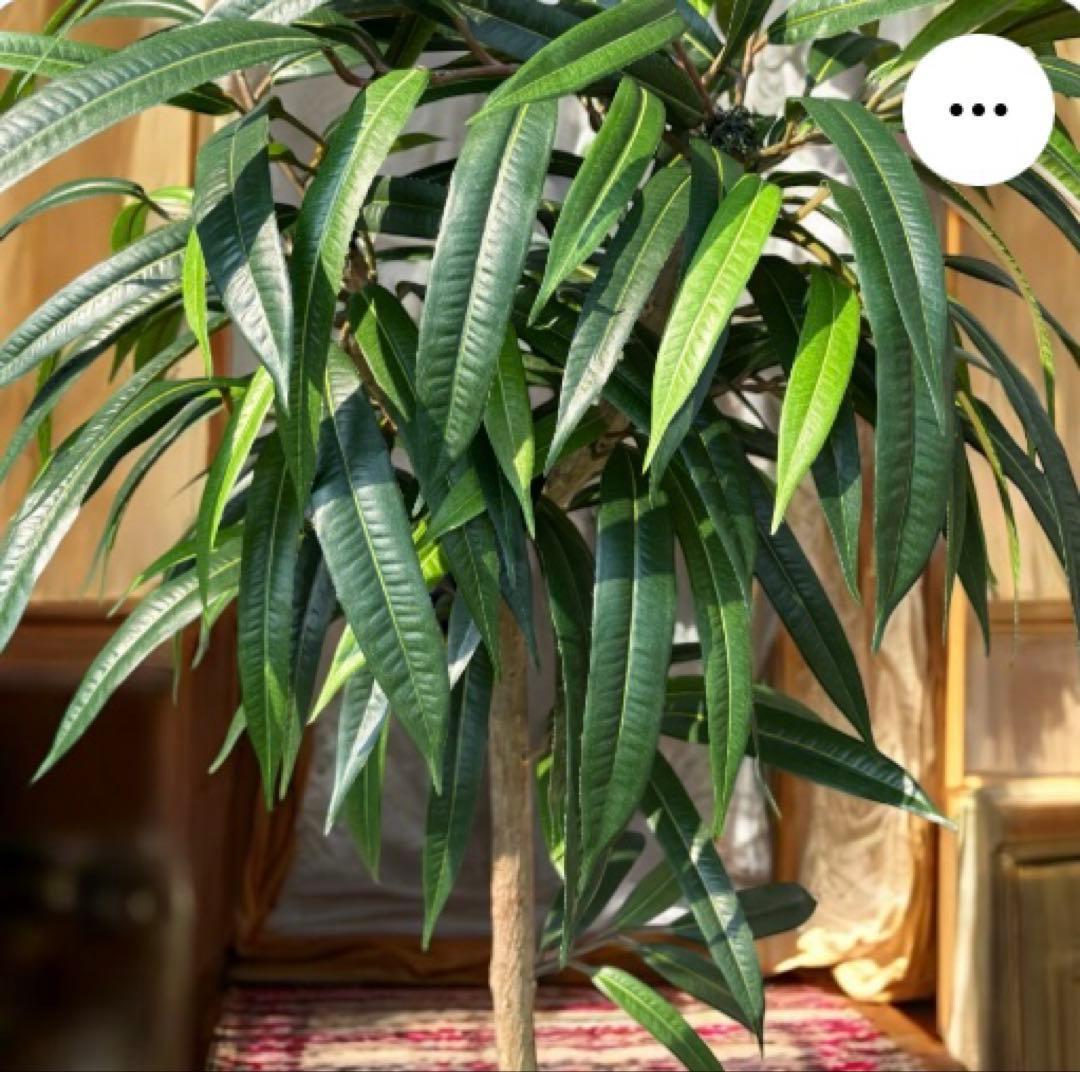 光触媒　人工観葉植物　ウォールグリーン　フェイクグリーン　アジアンショウナンゴム