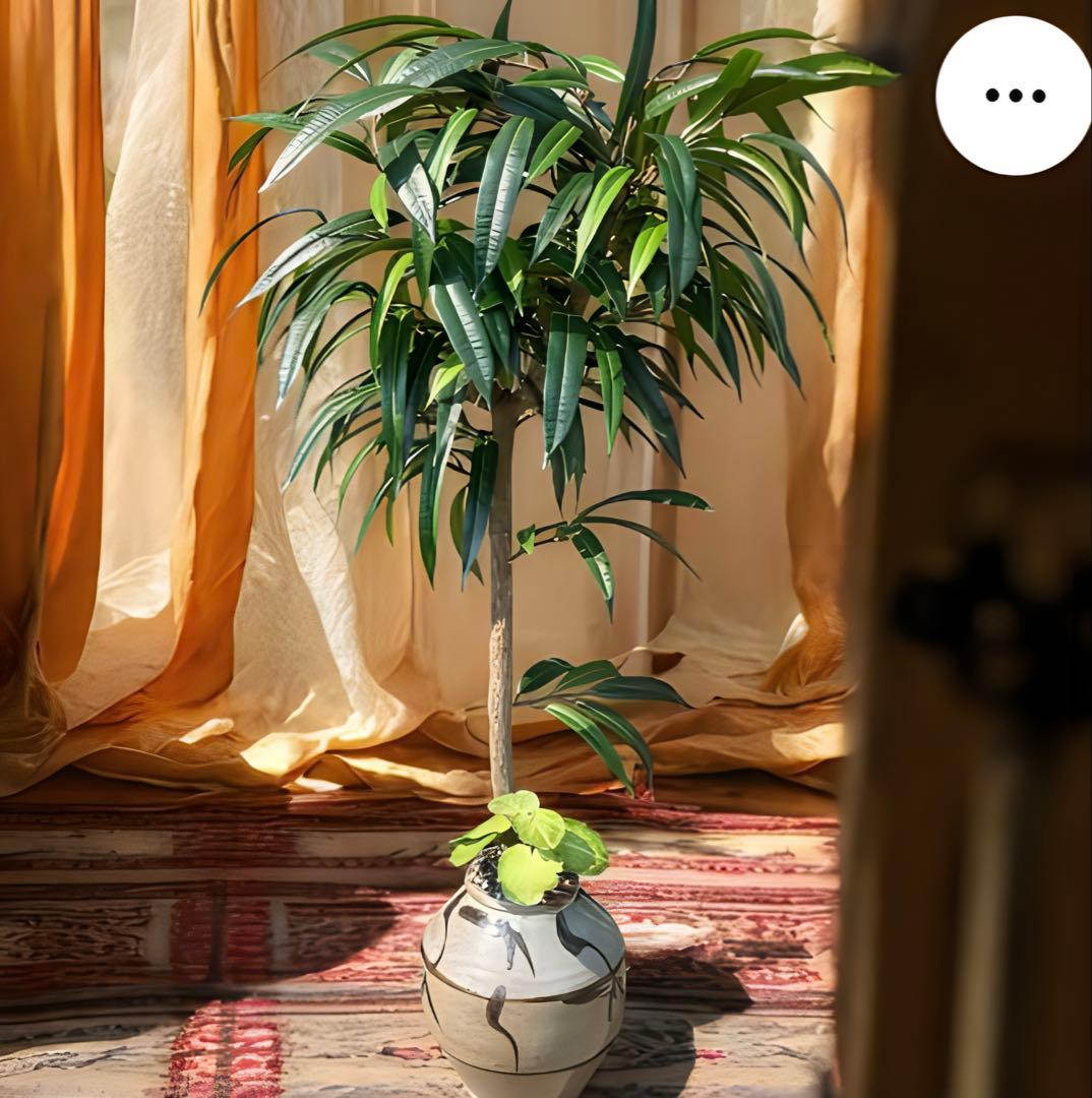 光触媒　人工観葉植物　ウォールグリーン　フェイクグリーン　アジアンショウナンゴム