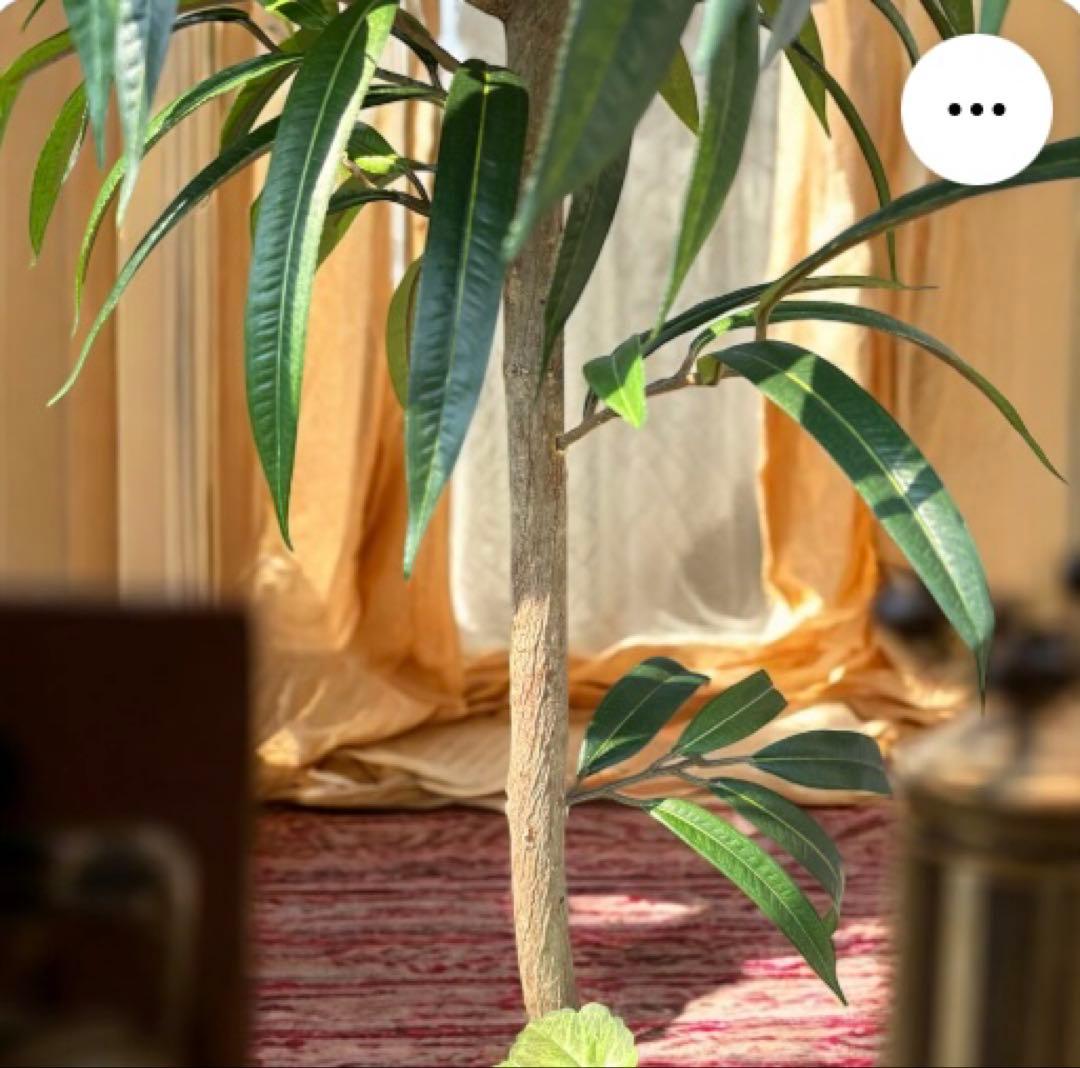 光触媒　人工観葉植物　ウォールグリーン　フェイクグリーン　アジアンショウナンゴム