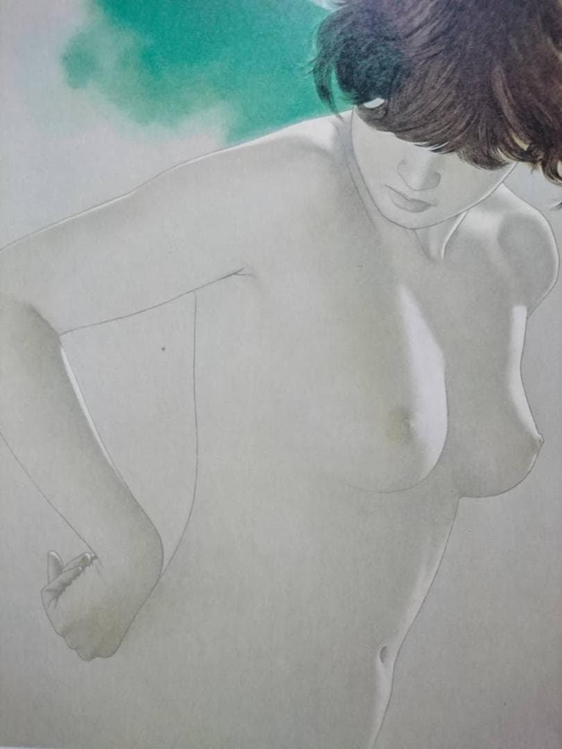 高塚省吾、髪にかかる弧、美人画、裸婦、入手困難・レアな年代物の画集より